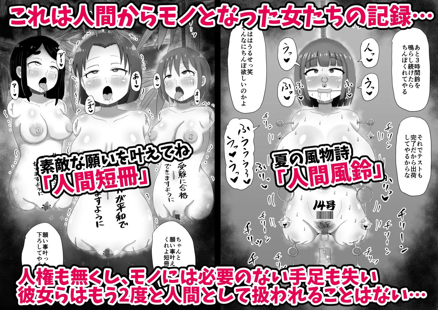 人間からモノになった女たち 画像2